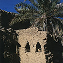 Antica costruzione con palma